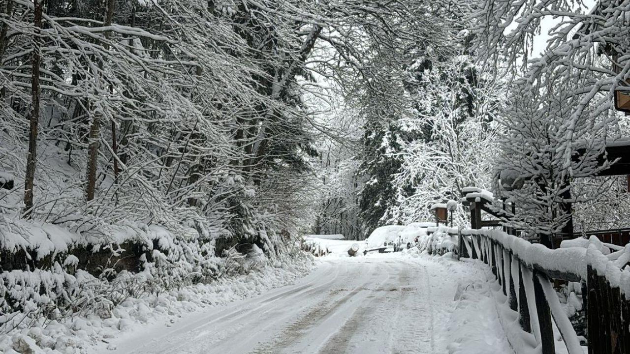 La neve all'Abetone (Foto Dario Fedi/Elia Saviozzi)
