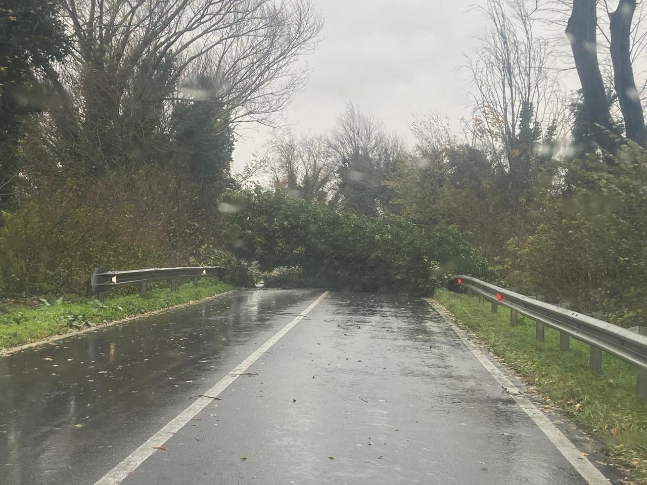 Maltempo a Ferrara, 50 millimetri di pioggia entro sera