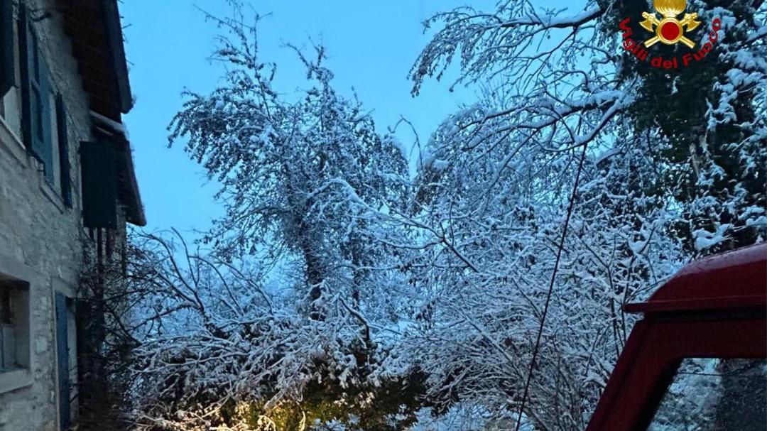 Maltempo in Appennino: scuole chiuse a Carpineti, Casina, Toano, Viano e Baiso