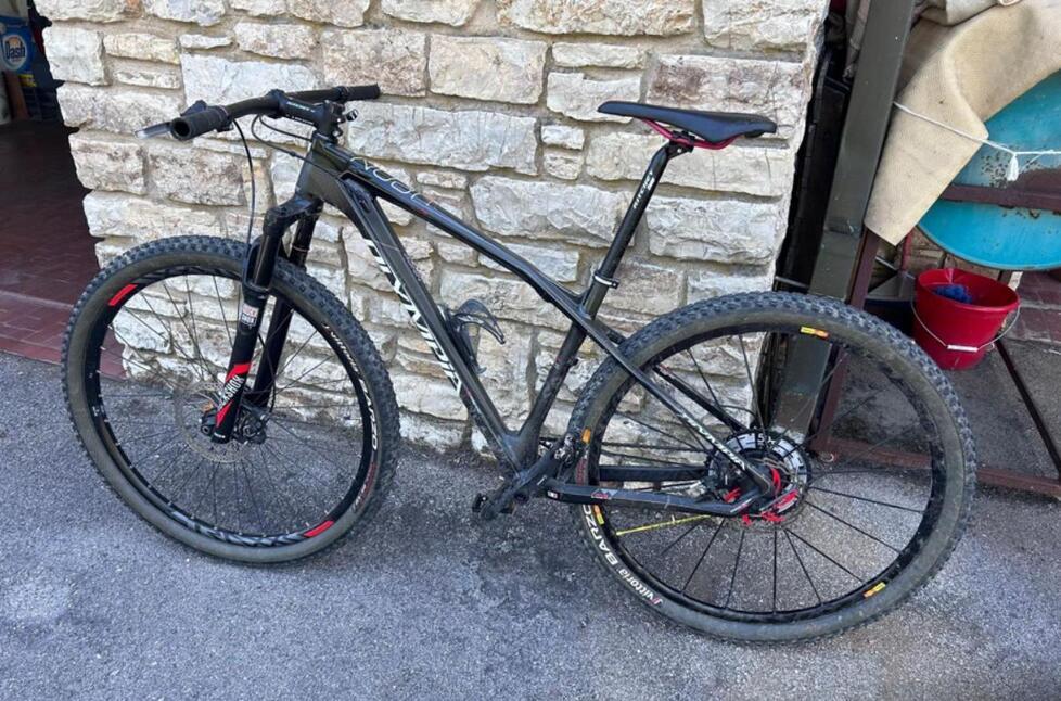 
	La bicicletta rubata al luna park dietro lo stadio a Montecatini

