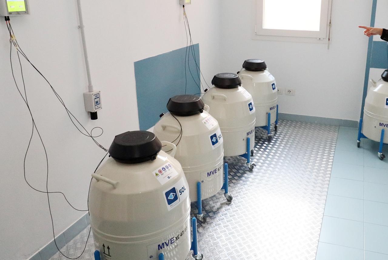 Ospedale del Delta, sospensioni nel reparto Procreazione assistita ma «attività garantite»