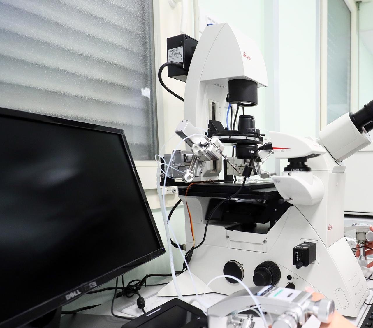 Ospedale del Delta, sospesi direttore Pma e un tecnico per violazioni e comportamenti violenti