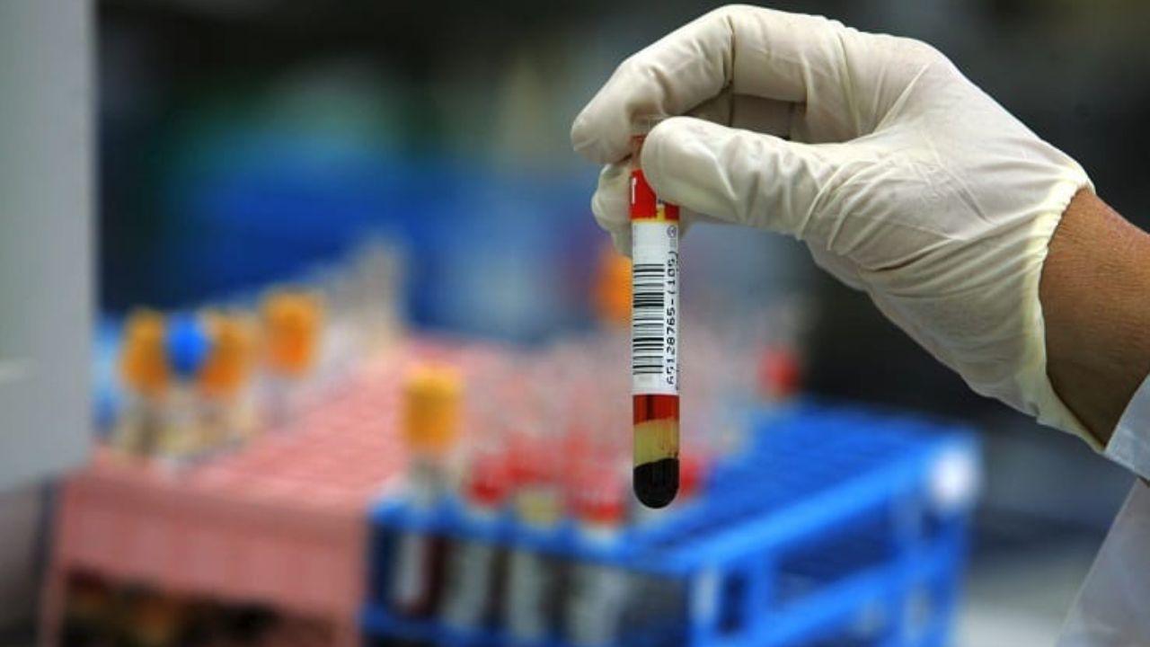 Una provetta di sangue simile a quelle prelevate dai Nas