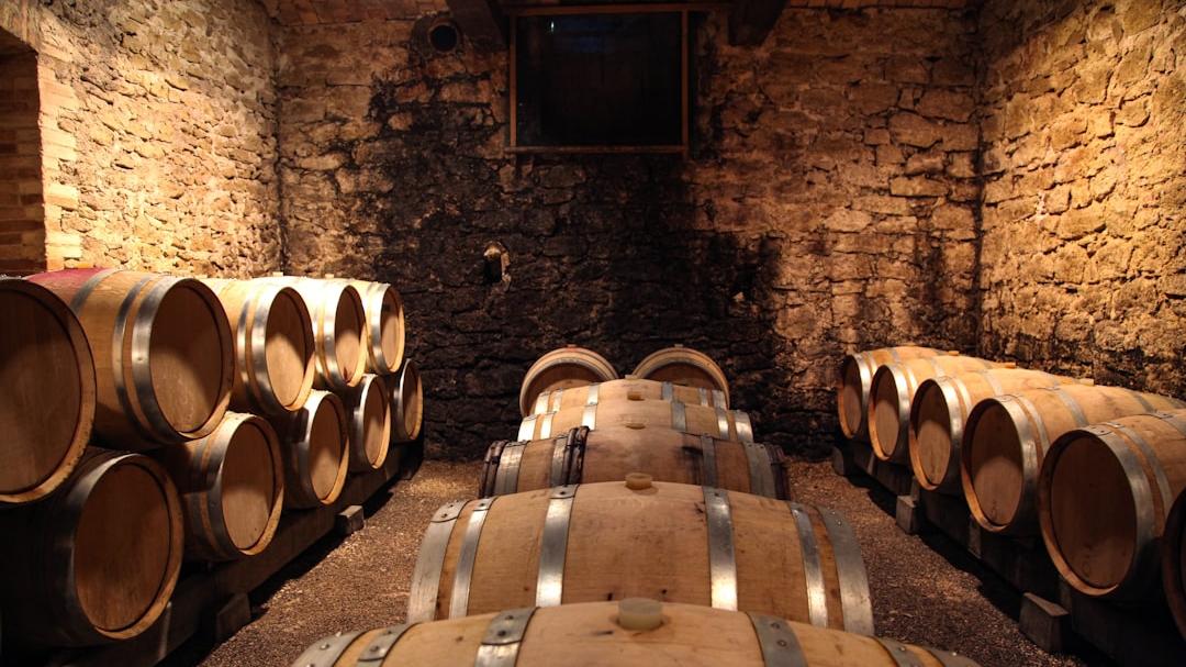 Vini di bassa qualità venduti come Cannonau e Vermentino Doc e Docg: 29 indagati per frode