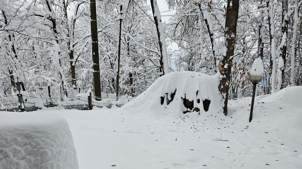 Il cortile di casa dell'anziana innevato