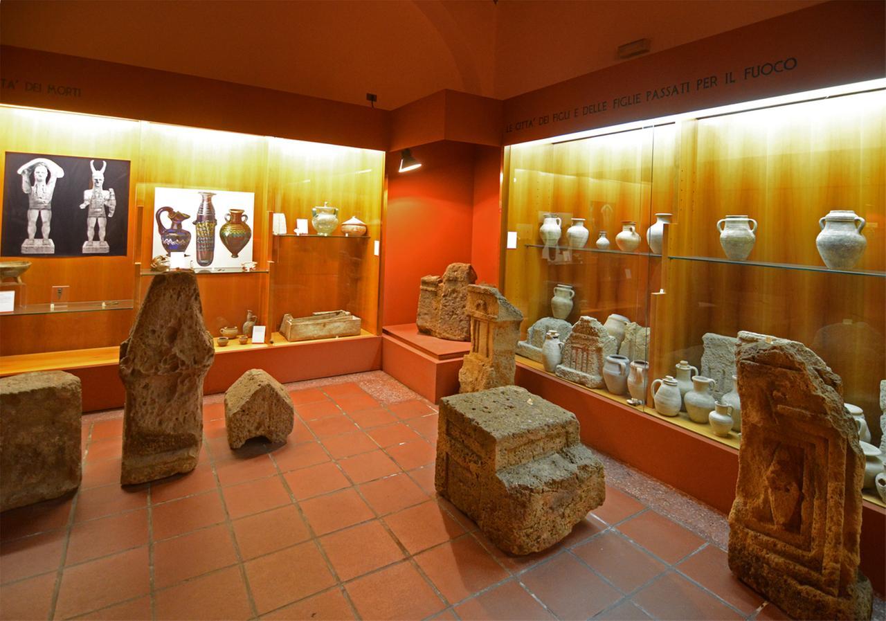 
	Una sala dell'Antiquarium arborense


