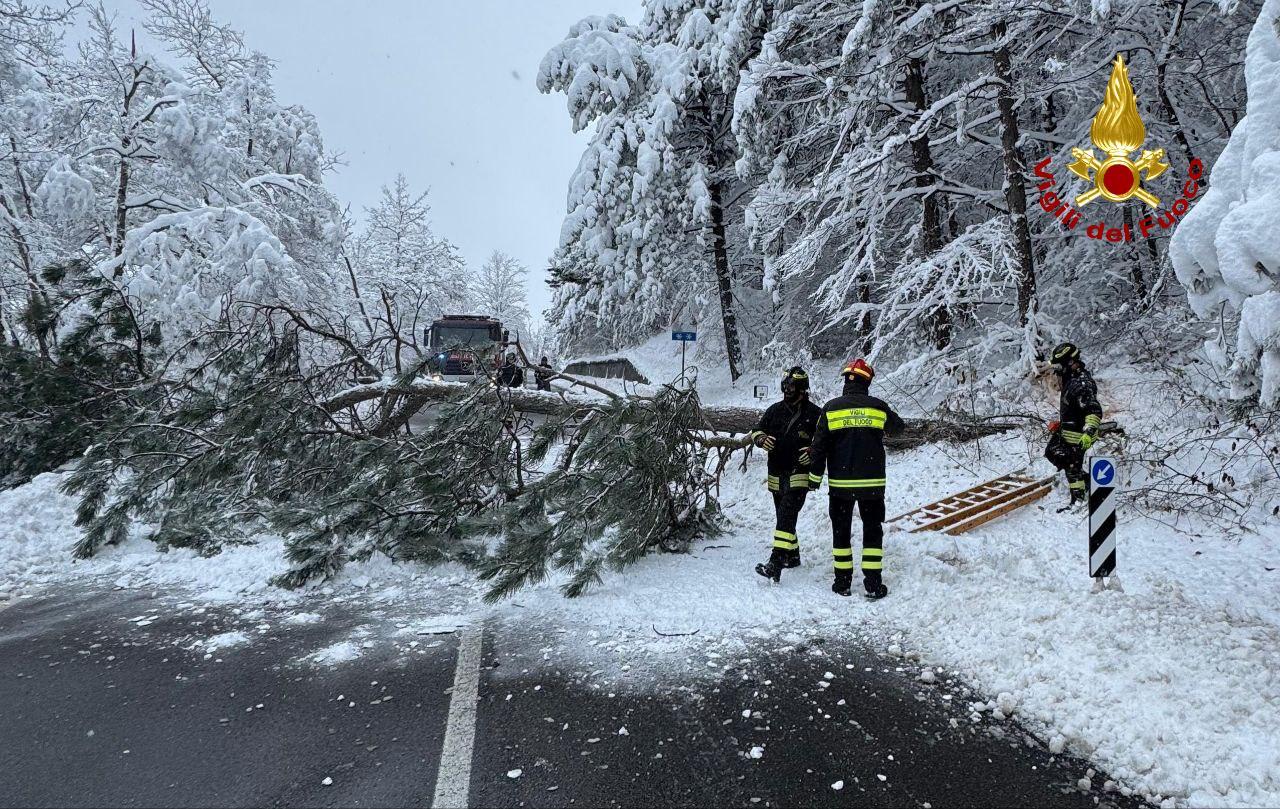 Neve, Statale 63 chiusa per la caduta di alberi