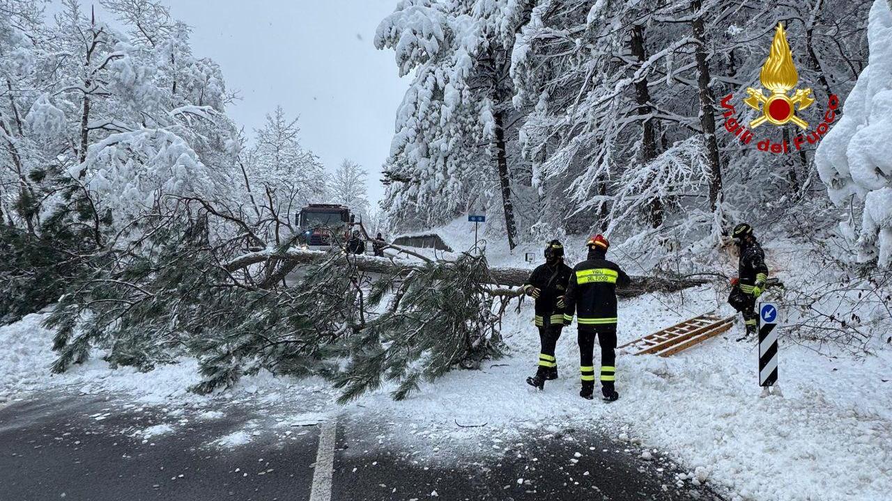 Neve, Statale 63 chiusa per la caduta di alberi