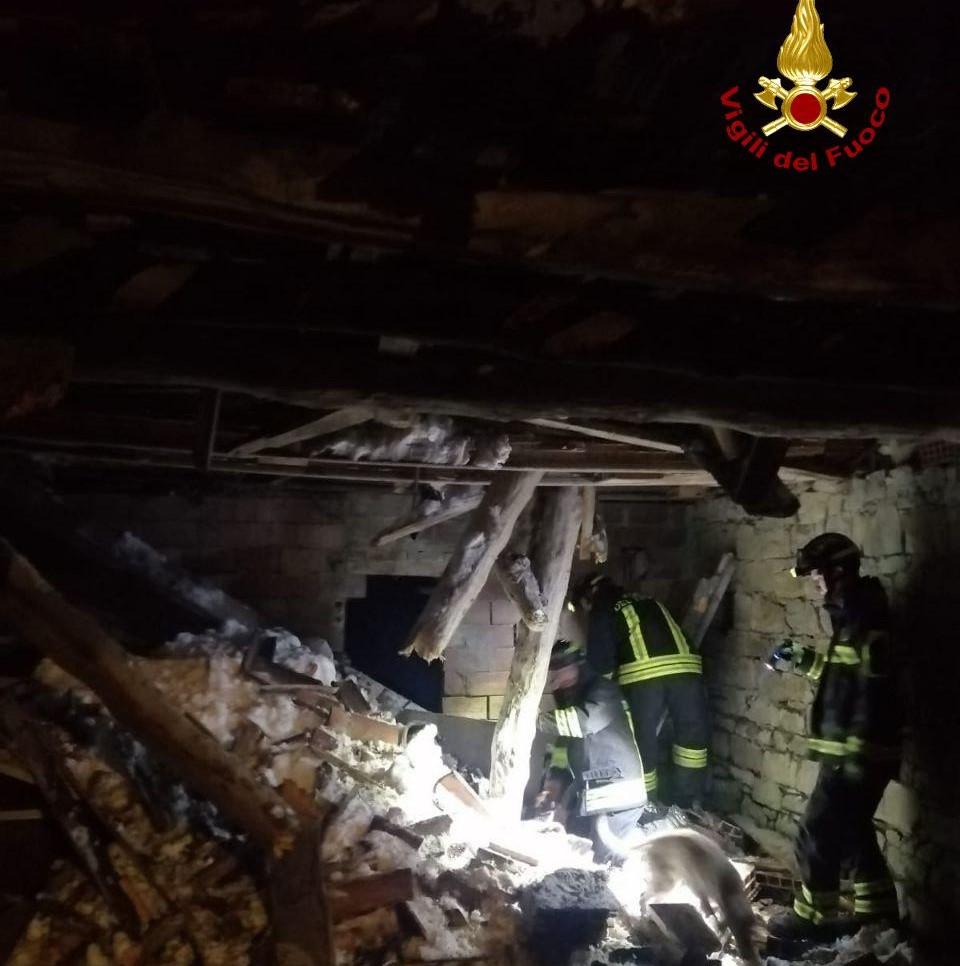 Crolla una vecchia stalla per il peso della neve: salvati due cani