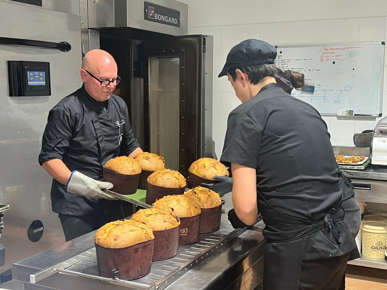 Panettone d’autore alla bakery Pbread: c’è anche quello con salsiccia e pecorino