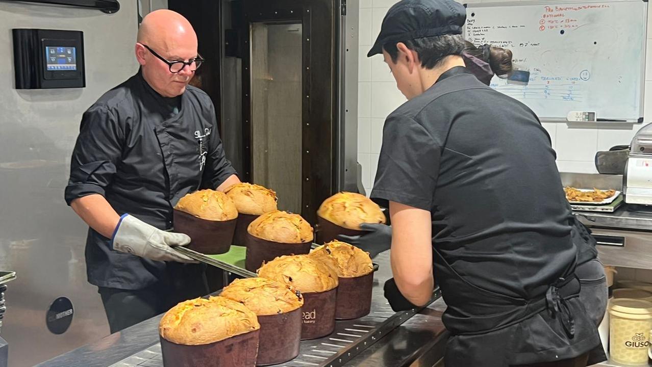 Panettone d’autore alla bakery Pbread: c’è anche quello con salsiccia e pecorino