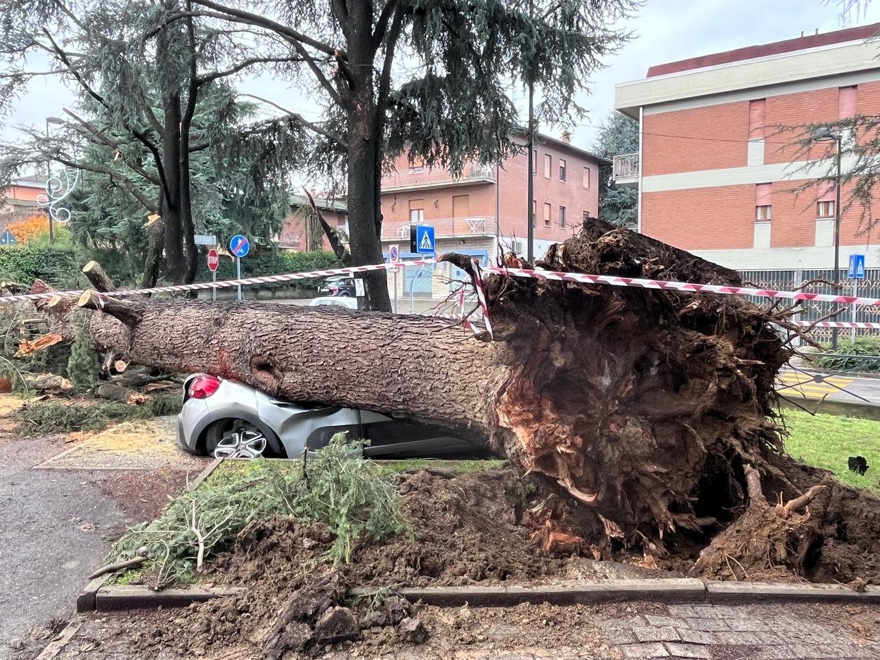 
	L'albero caduto sull'auto a Maranello

