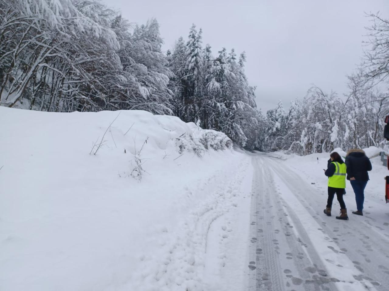 Alberi caduti per neve: Statale 63 chiusa fino a venerdì allo Sparavalle