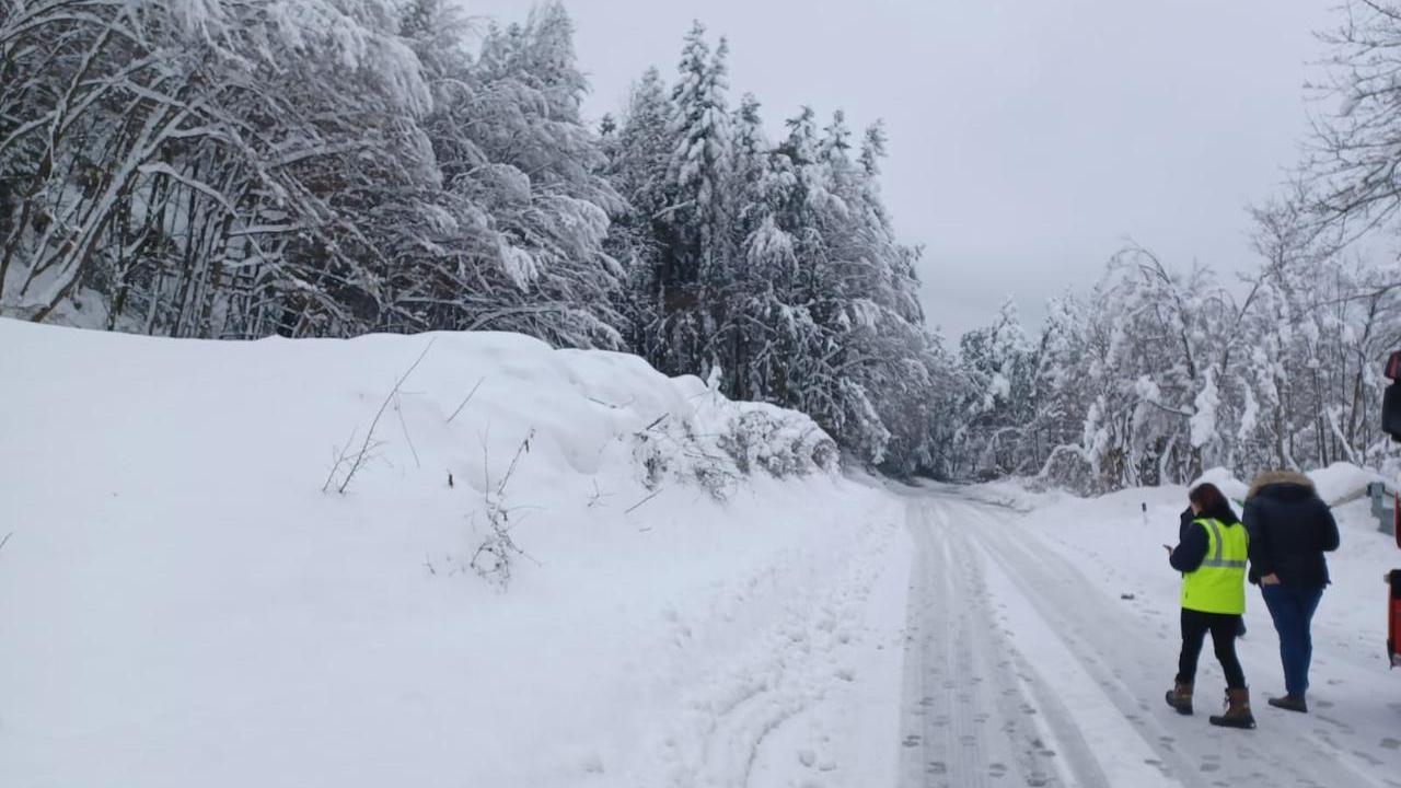 Alberi caduti per neve: Statale 63 chiusa fino a venerdì allo Sparavalle