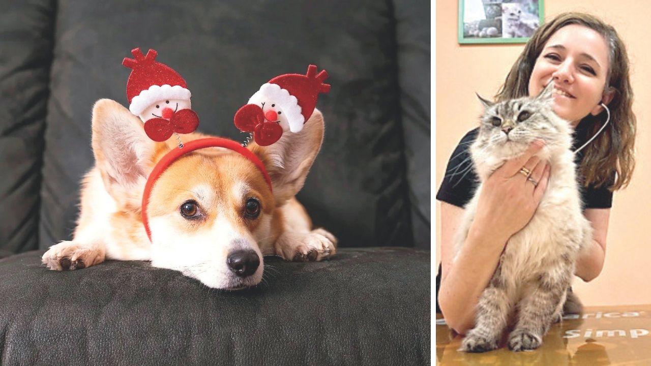 Botti a Capodanno e animali, i consigli dell'esperta: «Proteggiamoli, ma troppe coccole fanno peggio»