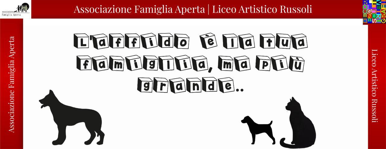 Cani e gatti insieme: così i ragazzi vedono l’affido