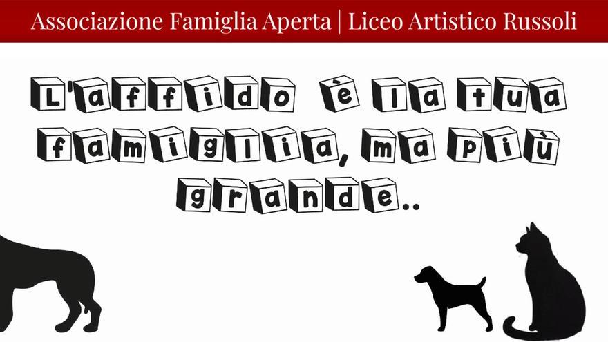 Cani e gatti insieme: così i ragazzi vedono l’affido