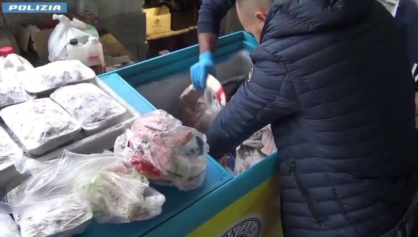 Servivano pesce non certificato nei loro ristoranti: quattro indagati – VIDEO