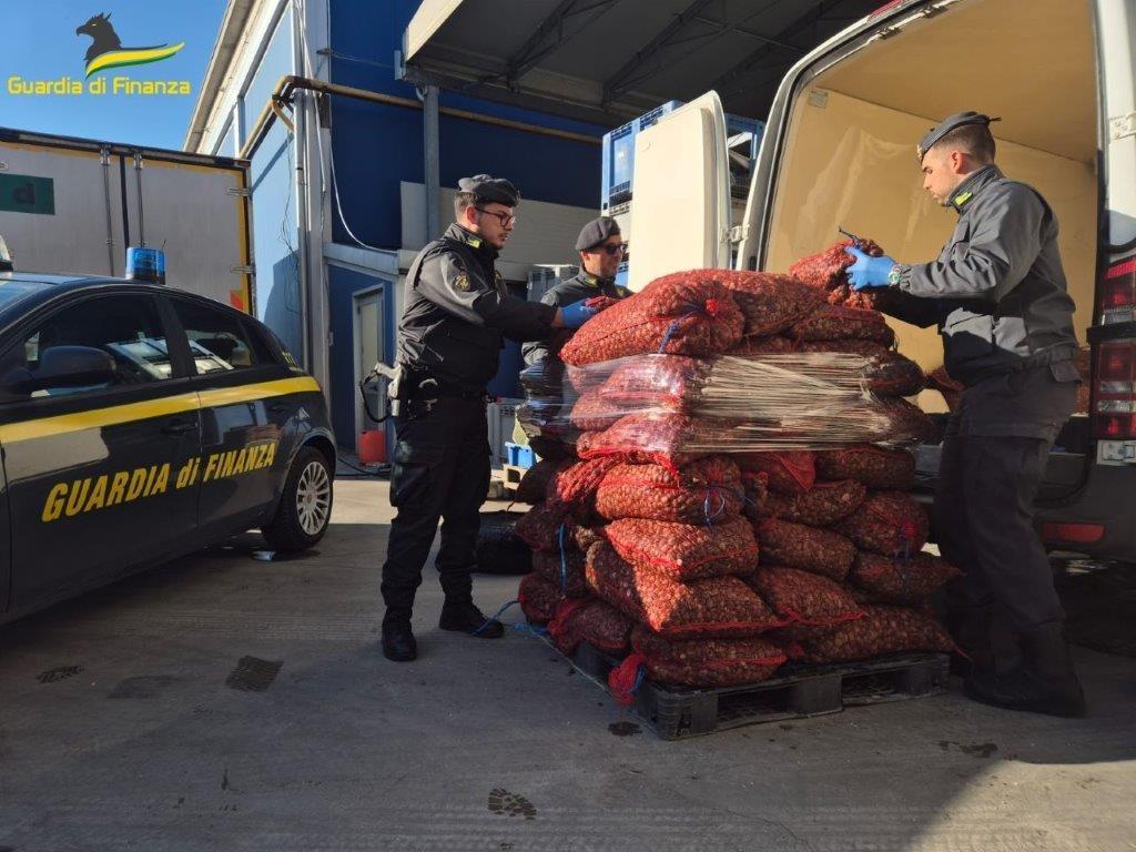 Vongole non tracciate, nove tonnellate sequestrate a Ferrara