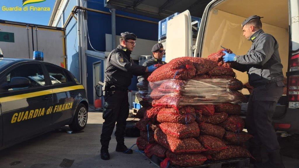 Vongole non tracciate, nove tonnellate sequestrate a Ferrara