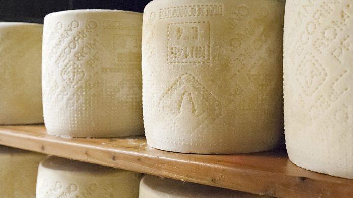 Pecorino Romano Dop, Dario Giagoni al ministro Francesco Lollobrigida: «Difendiamo la razza sarda»