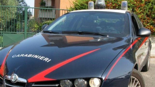 Misteriosa aggressione nell’ovile: l’uomo picchiato e legato per due giorni