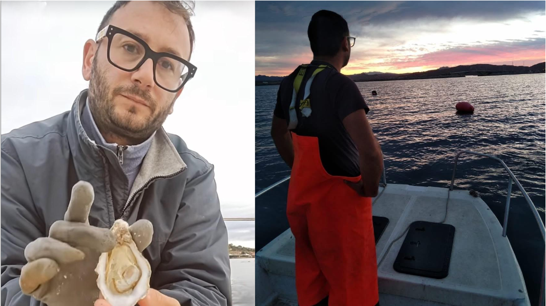 Pietro Aversano con un'ostrica e nel suo allevamento 