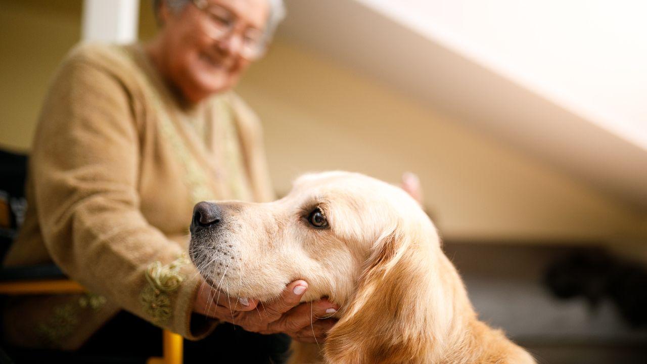 Gli animali come farmaci e antidoto alla solitudine: i vantaggi per gli anziani e i consigli dei geriatri