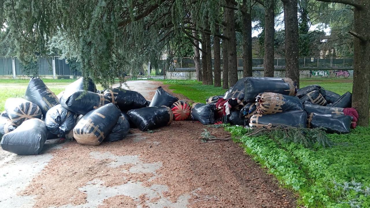 I sacchi neri abbandonati nell'area ex Banci (foto Giovanni Tarducci)