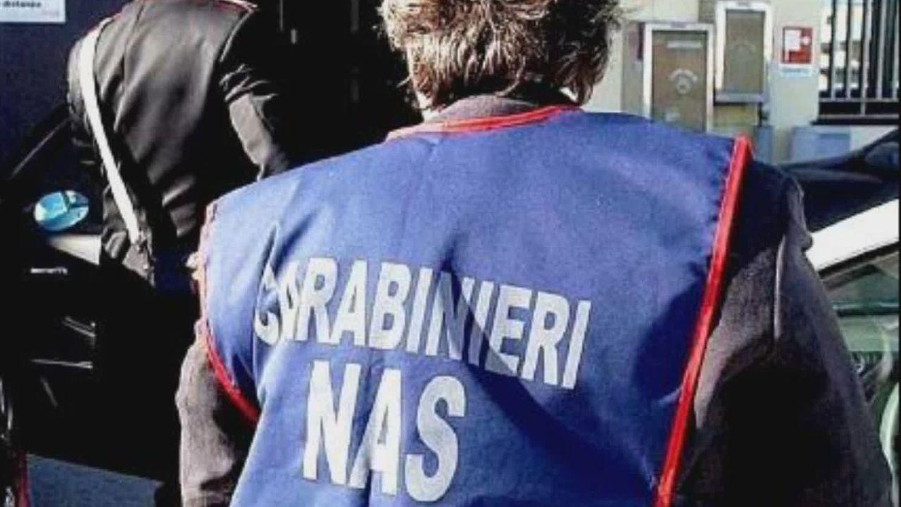 
	Il controllo dei carabinieri

