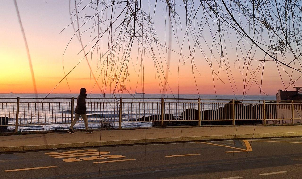 Livorno, Antignano e lo spirito del Natale al tramonto. Grazie ad Antonella Timore