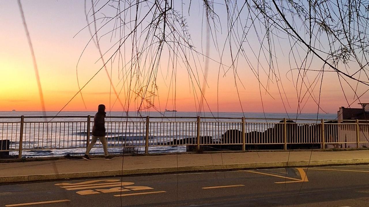 Livorno, Antignano e lo spirito del Natale al tramonto. Grazie ad Antonella Timore