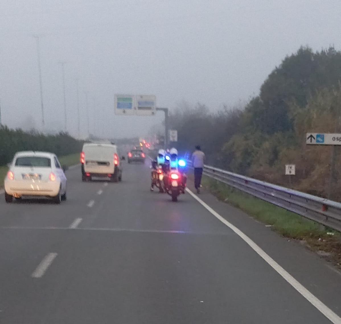 
	Il giovane fermato sul viale Leonardo da Vinci dalla Municipale (foto Giovanni Tarducci)

