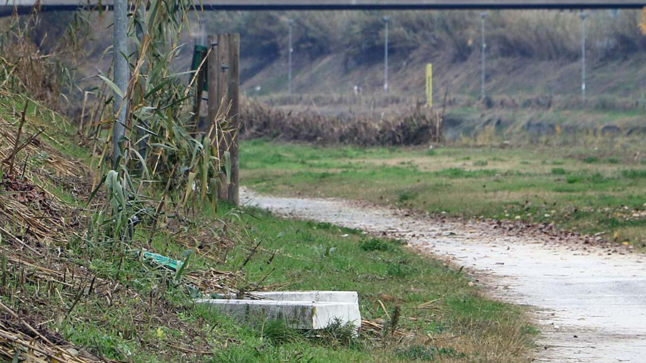 Il parco fluviale del Frigido dove è stata violentata la donna