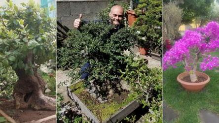Il “re dei bonsai” è di Macomer: Alessio Ledda conquista i social