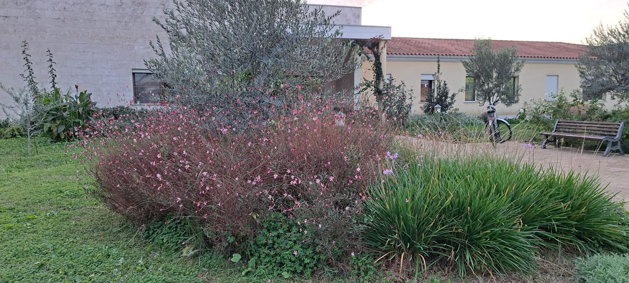 La bella musica riempie il salvadanaio per terminare il giardino dell’Hospice