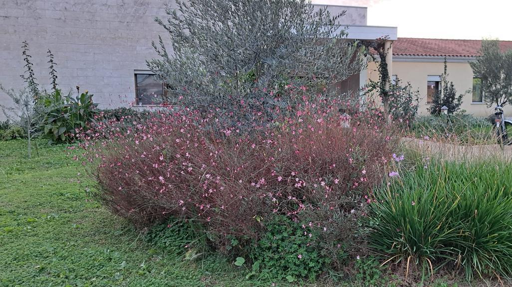 La bella musica riempie il salvadanaio per terminare il giardino dell’Hospice