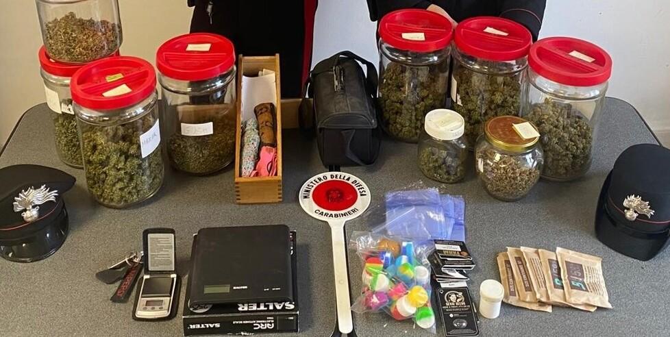 Porto Garibaldi, scoperta coltivazione di marijuana nella serra di casa