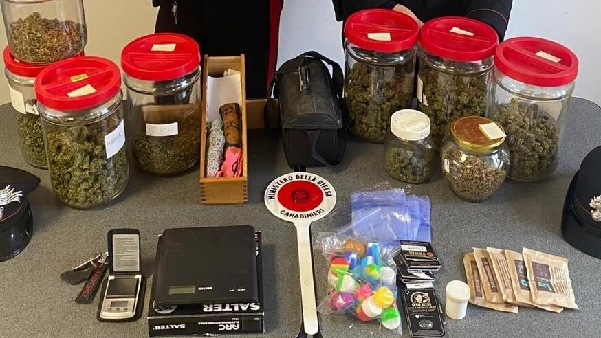Porto Garibaldi, scoperta coltivazione di marijuana nella serra di casa