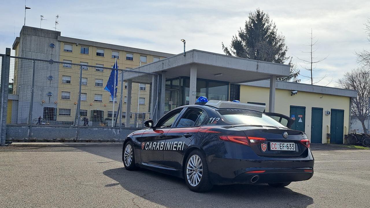 Taglia la lingua alla gatta della madre e minaccia di fare la stessa cosa a lei: arrestato