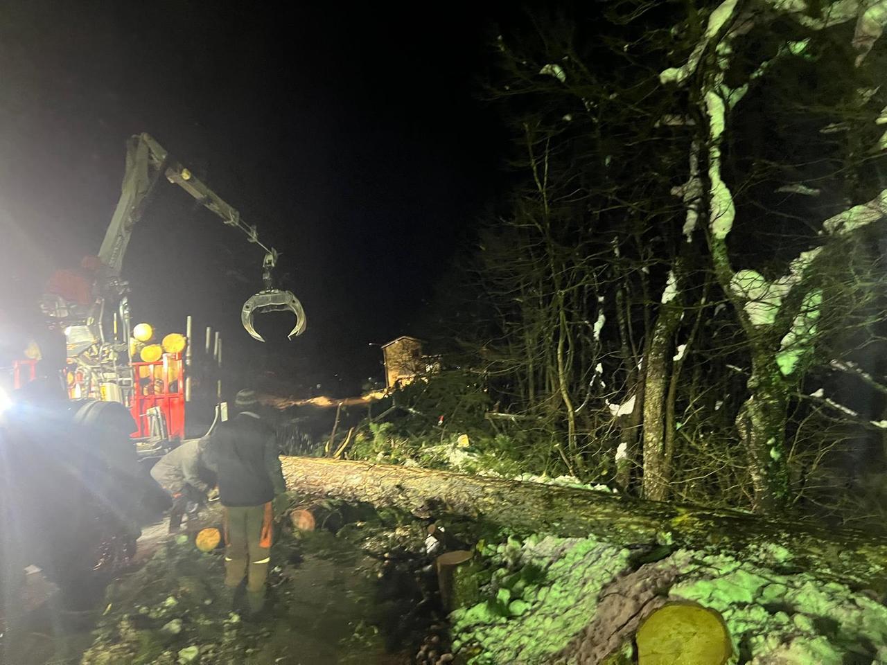 Statale 63: tagliati mille pini a rischio piegati dalla neve in zona Sparavalle
