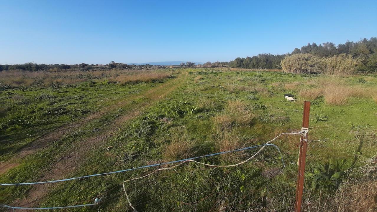 Il terreno di Pauli Mattauri