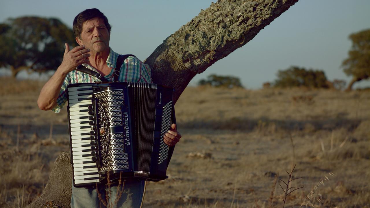 
	Lo scrittore Gavino Ledda a Siligo

