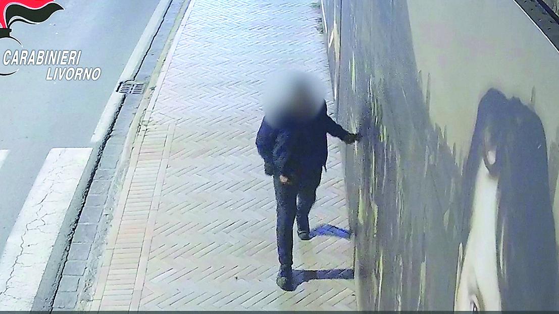 Portoferraio, sfregio al manifesto di Cosimo I e Napoleone: c'è una denuncia