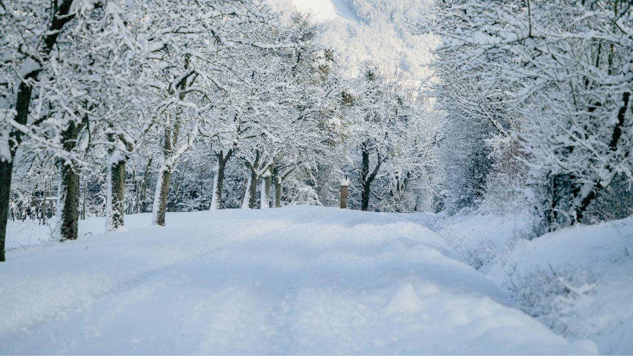 
	Allerta per neve in Toscana

