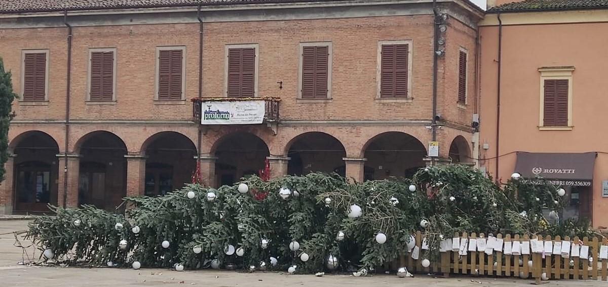 Formigine, abbattuto l’albero di Natale in piazza Calcagnini