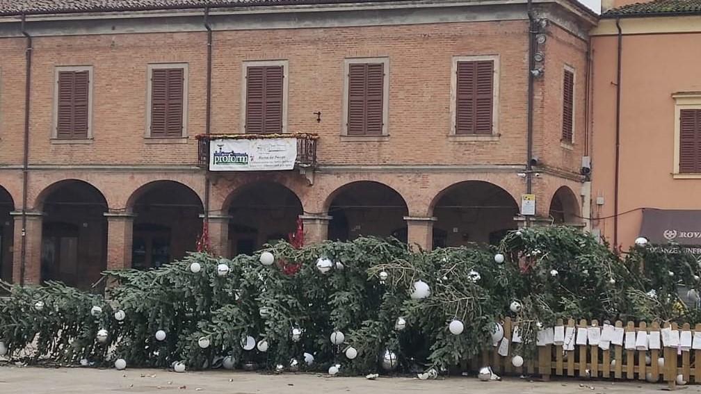 Formigine, abbattuto l’albero di Natale in piazza Calcagnini