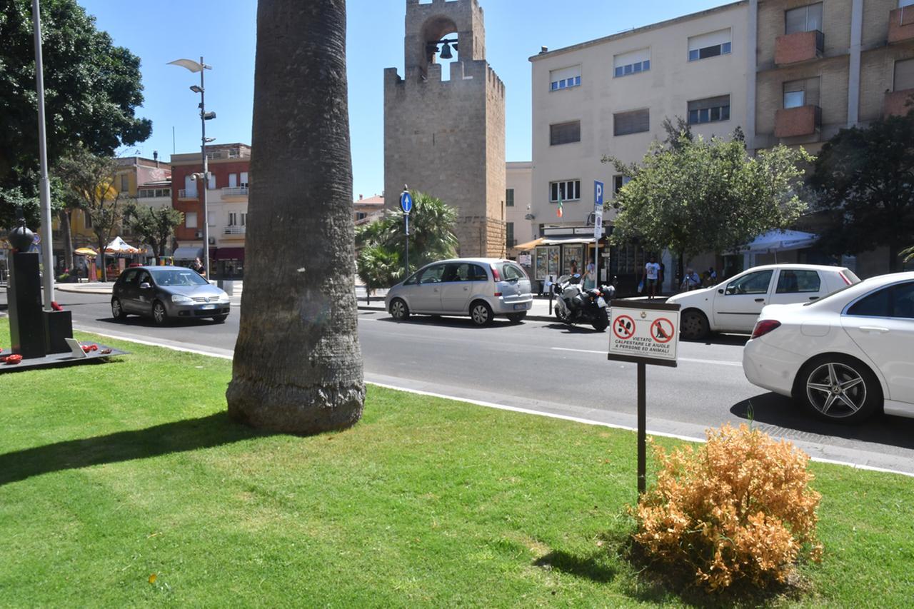
	Aiuole in piazza&nbsp; Roma a Oristano

