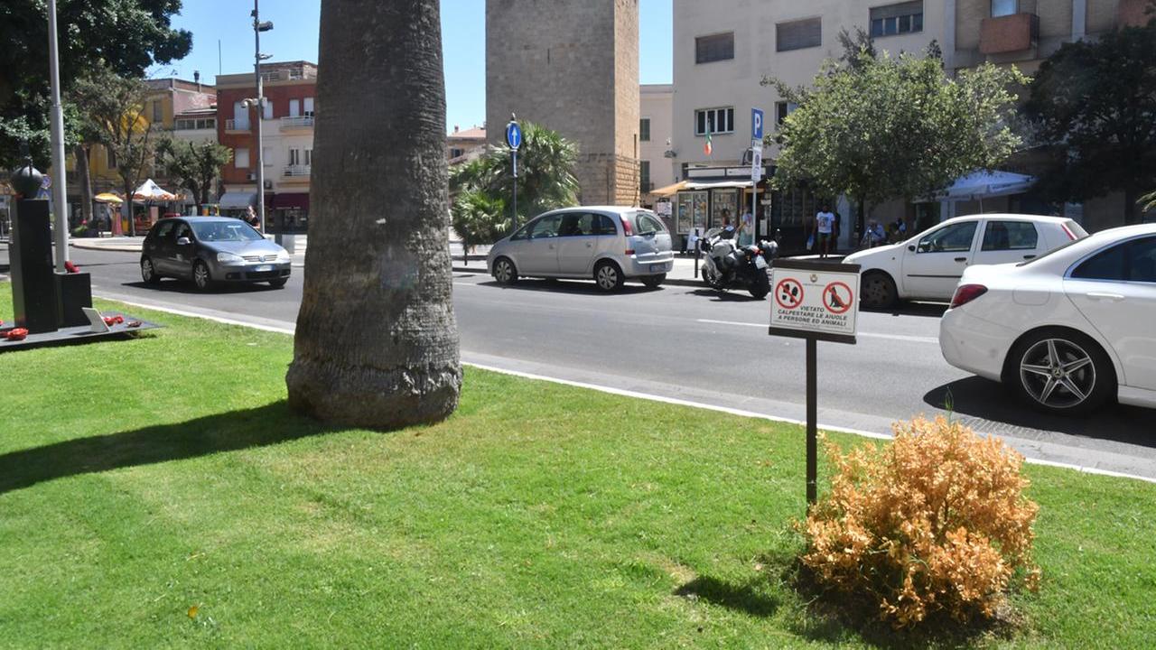 Aiuole in piazza  Roma a Oristano