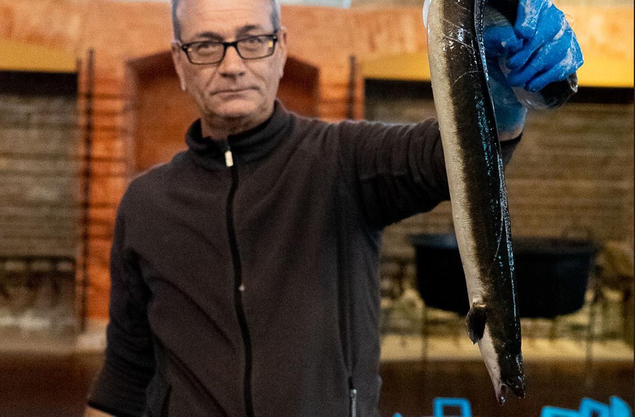 Anguille e cefali alla Manifattura dei Marinati di Comacchio